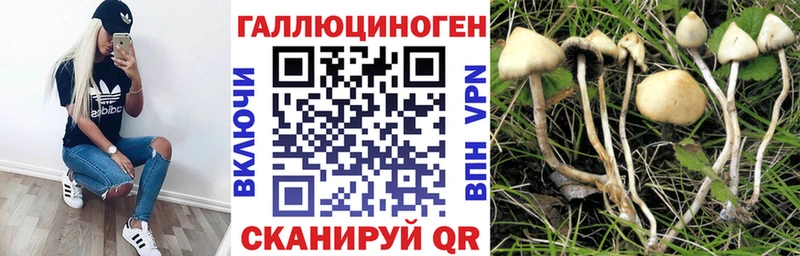 Псилоцибиновые грибы Psilocybe Гурьевск