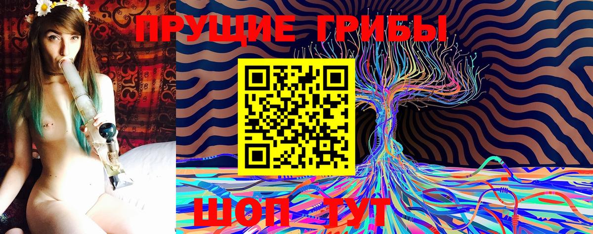 Галлюциногенные грибы MAGIC MUSHROOMS Гурьевск