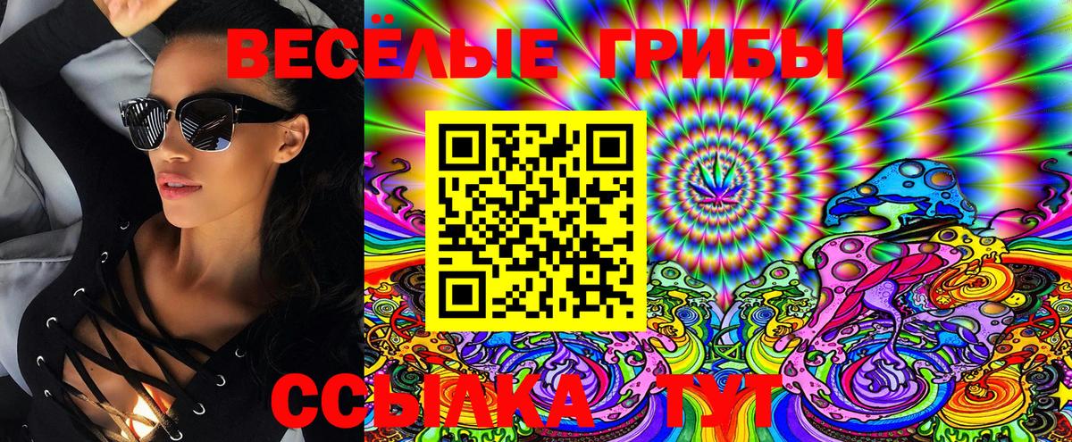 Гурьевск  Псилоцибиновые грибы Magic Shrooms  Псилоцибиновые грибы Psilocybe  Вход с VPN 