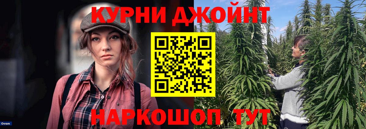 Гурьевск  Марихуана конопля  Конопля THC 21%  Бошки марихуана тримм  Бошки Шишки сатива  Вход с VPN 